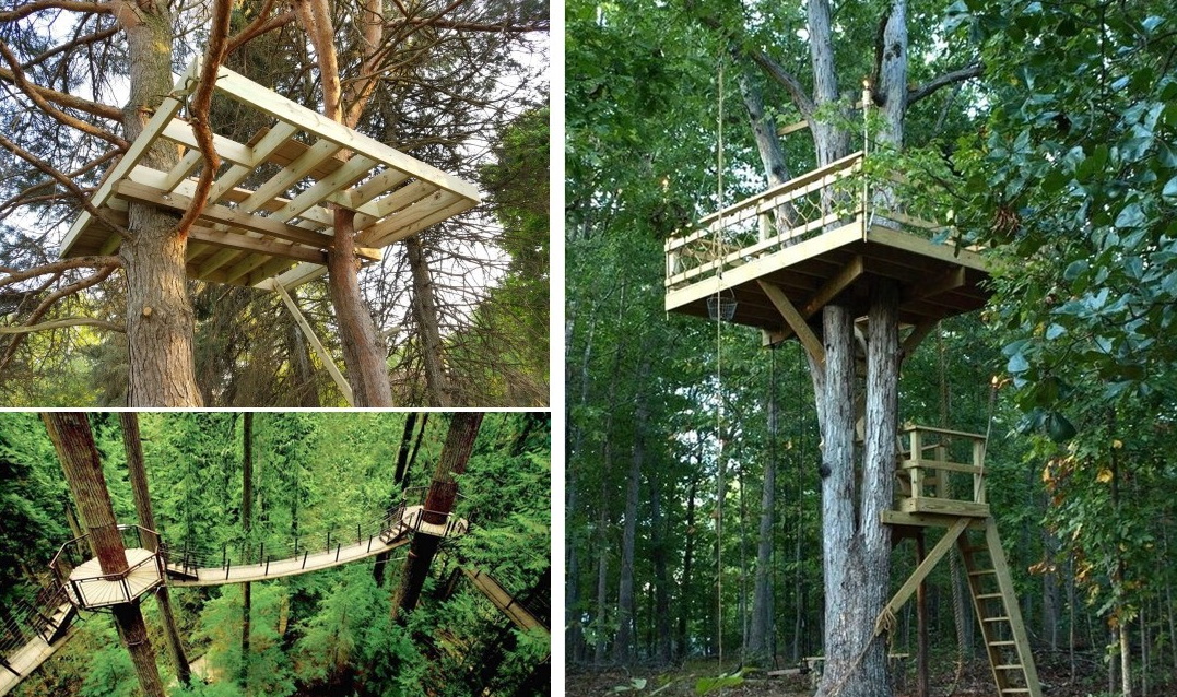 Tree Village техническая схема